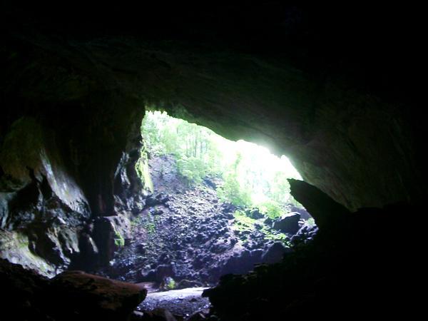 'Garden of Eden', from inside Deer Cave