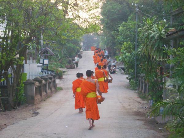 Monks. Hundreds of 'em.