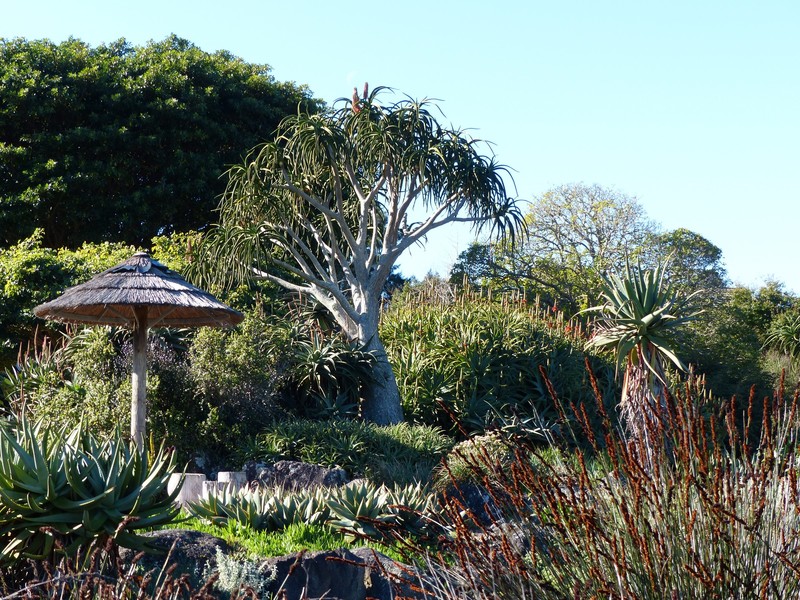 Botanic Garden 2