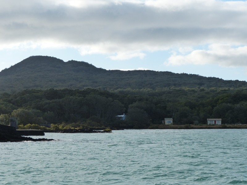 View from Rangitoto Wharf to Summit