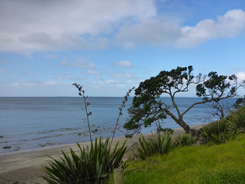 Grannys Bay - Long Bay Coastal Walk