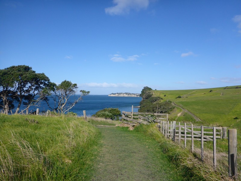 Long Bay Coastal Walk