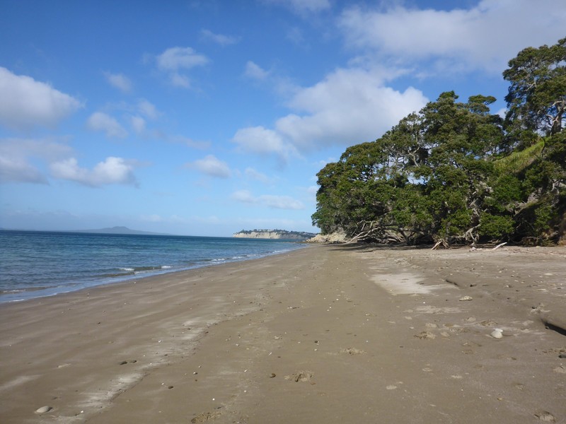 Pohutukawa Bay - Long Bay Coastal Walk