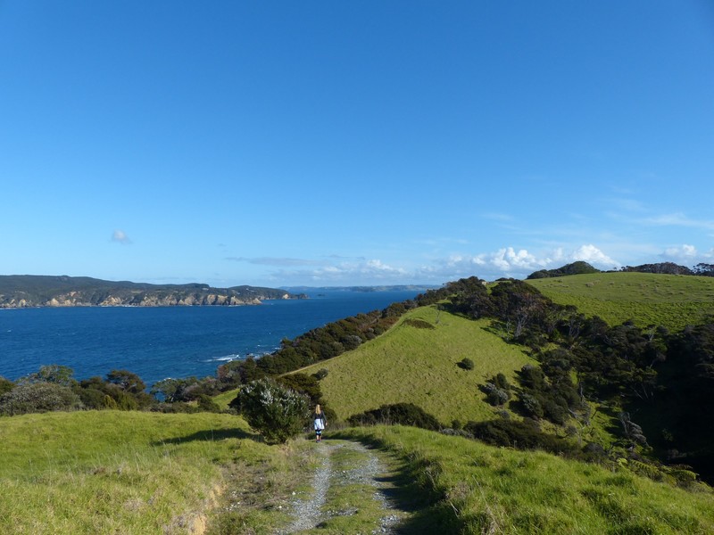 View to Kawau Island - South Track