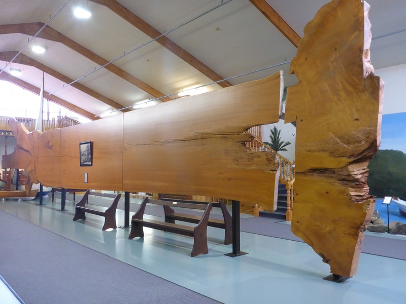 Kauri Slab 22.5m long - The Kauri Museum