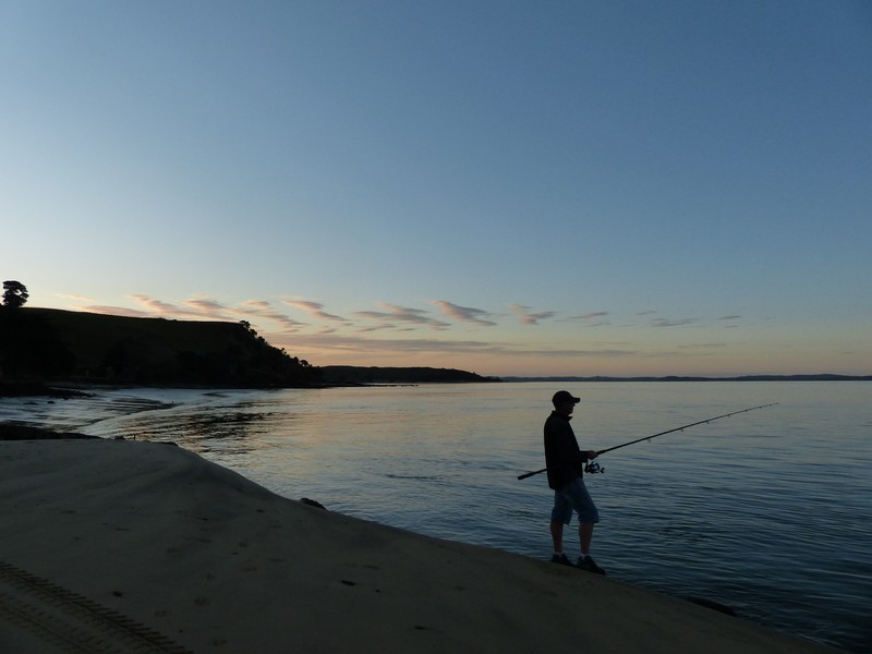 Evening Fish - Pouto Beach