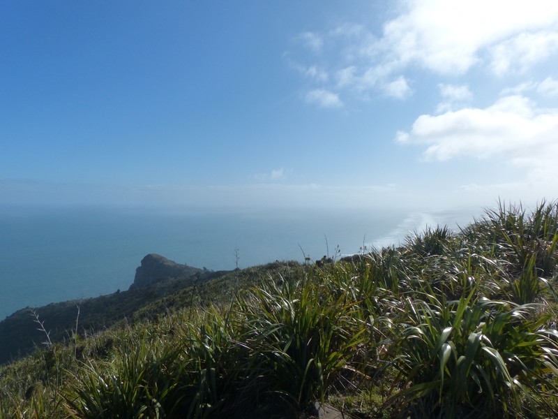Maunganui Bluff Summit - View North