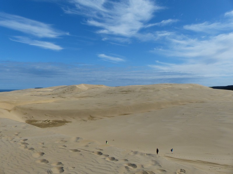 Te Paki Sand Dunes 3