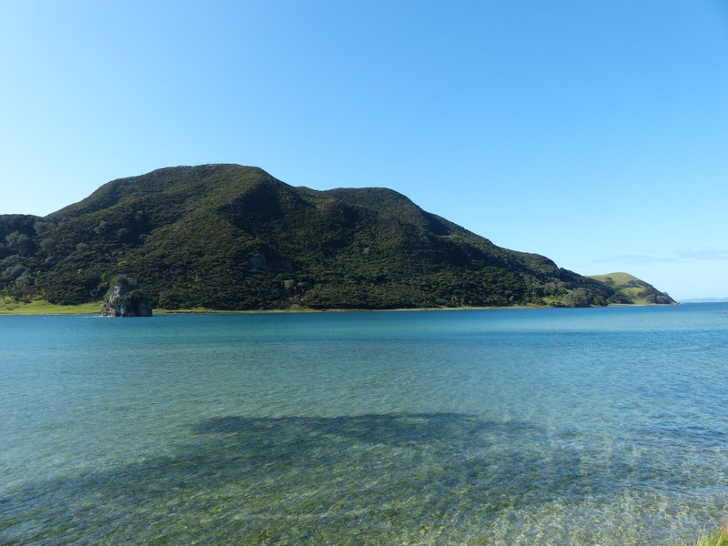 Crystal Clear Waters Houhora Heads