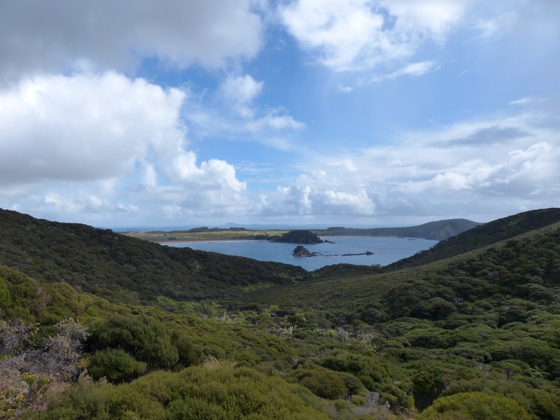 View down to Waikato & Maitai Bays