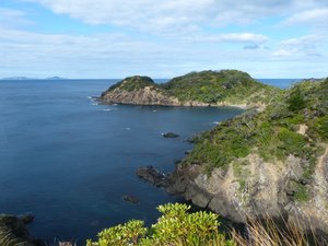 Lookout - Whale Bay Matapouri Bay Track