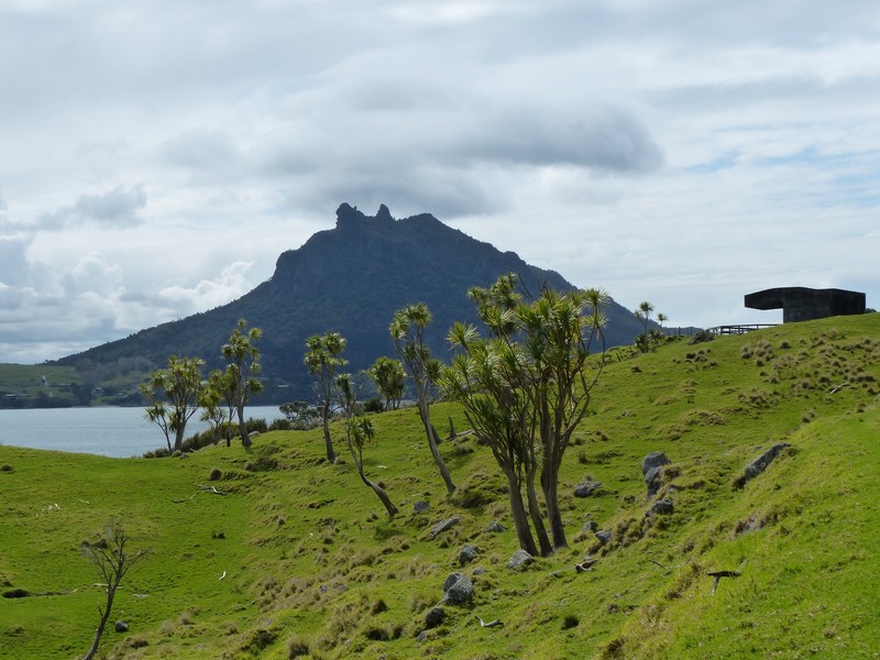 WII Gun emplacement with Mt Manaia in background