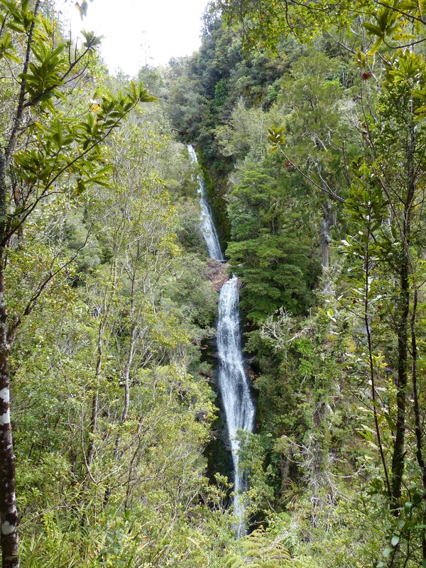 Lookout - Wentworth Valley Falls