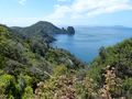 View to Pinnacles - Fletcher Stoney Bay Track 1