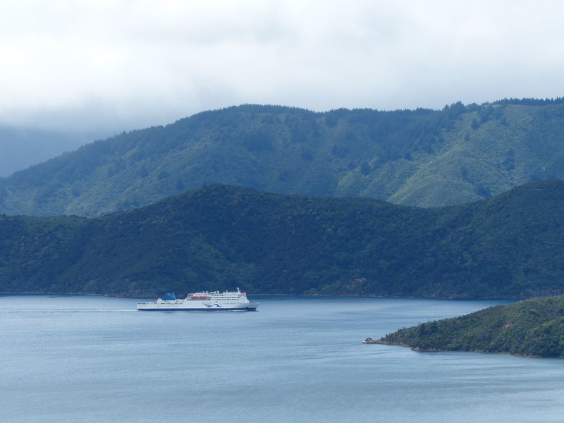 Cook Strait Ferry - QCT