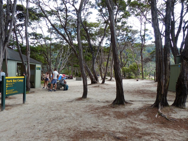 Bark Bay DOC Camp - Abel TasmanNational Park