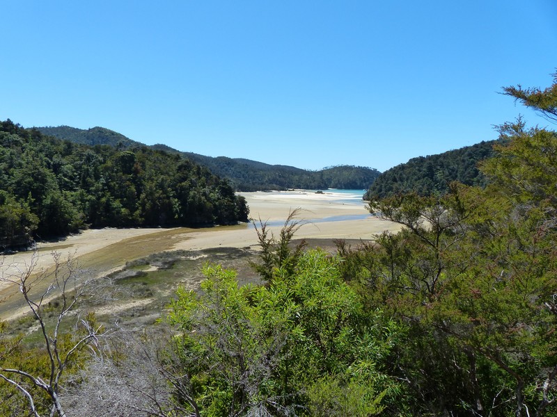 High Tide Track - view to Torrent Bay 2