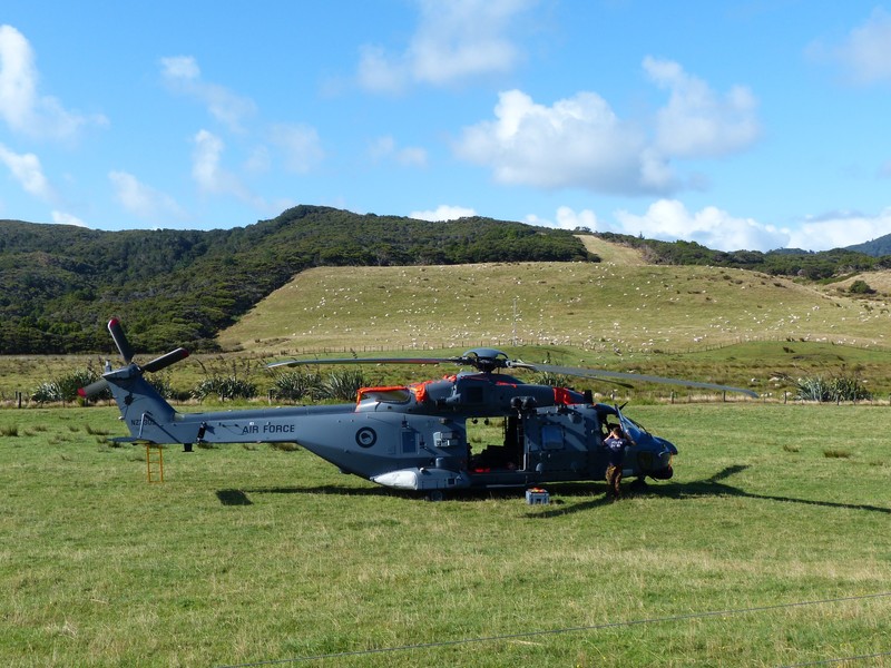 NZ Air Force Helicopter