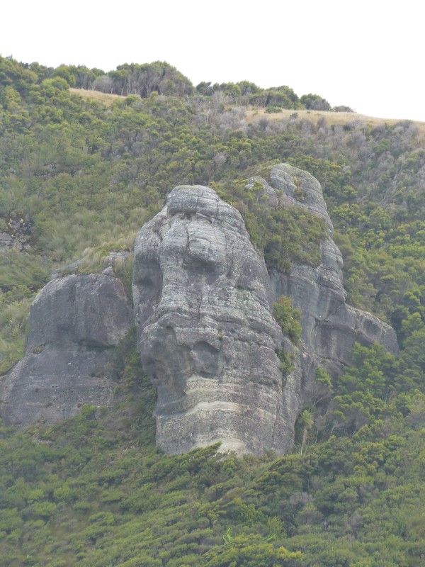 Old Man Rock - Wharariki