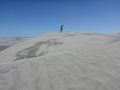 Walking the Sand Dunes - Farewell Spit