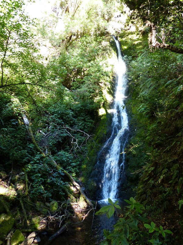 Moss Waterfall - Braeburn Walk - Lake Rotoroa