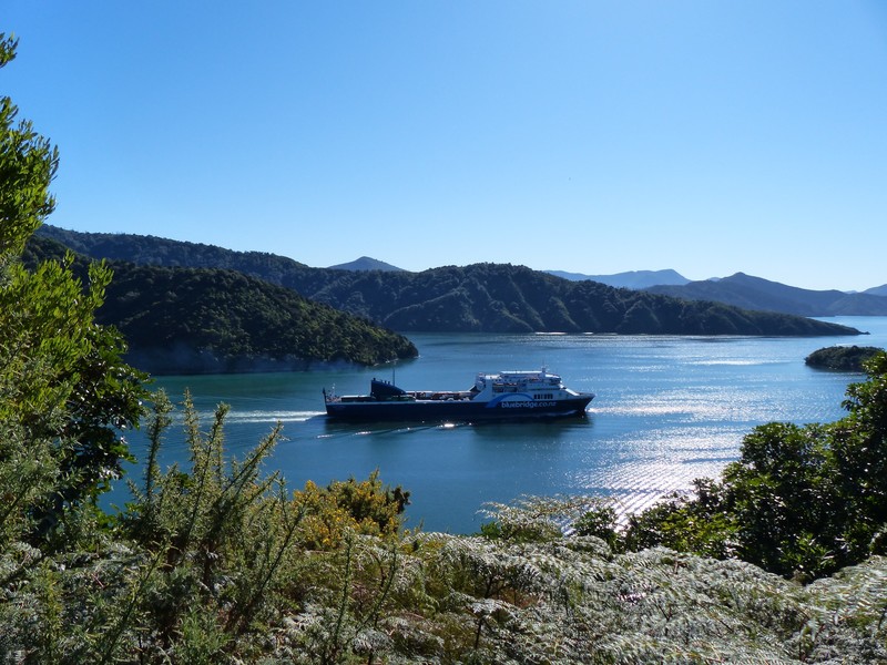 Bluebridge Ferry heading to the  North Island - Snout Track