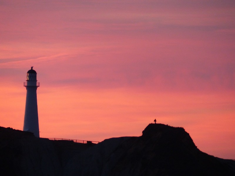 Spot the visitor - Sunrise Castlepoint Lighthouse