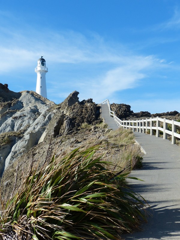 Walkway up to Castlepoint Lighthouse