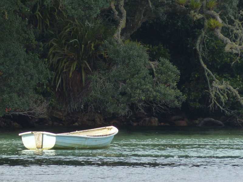 Boat - Purangi Estuary