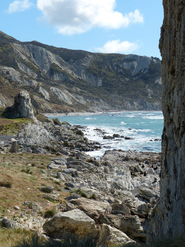 View up the coast - Chancet Rocks