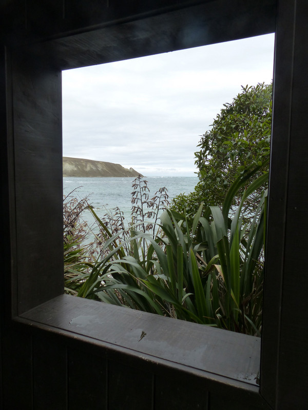 Window view South Bay - Kaikoura Peninsula Walk