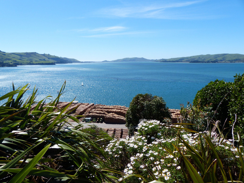 Port Chalmers - Lookout