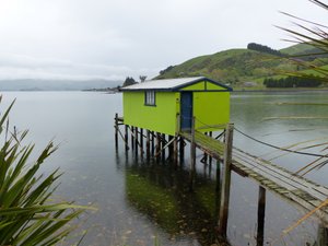 Boat Shed - Otago Harbour