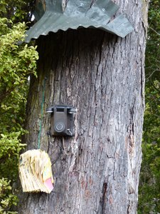 Phone Home - Stewart Island