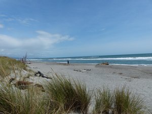 Mananui Bush and Beach Wallk