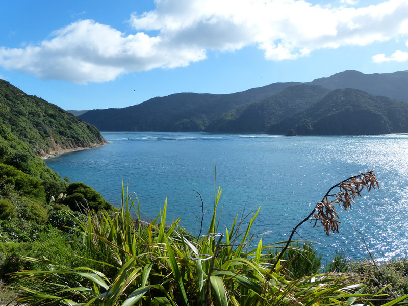 Pelorus Jack Lookout to French Pass & D'urville Island