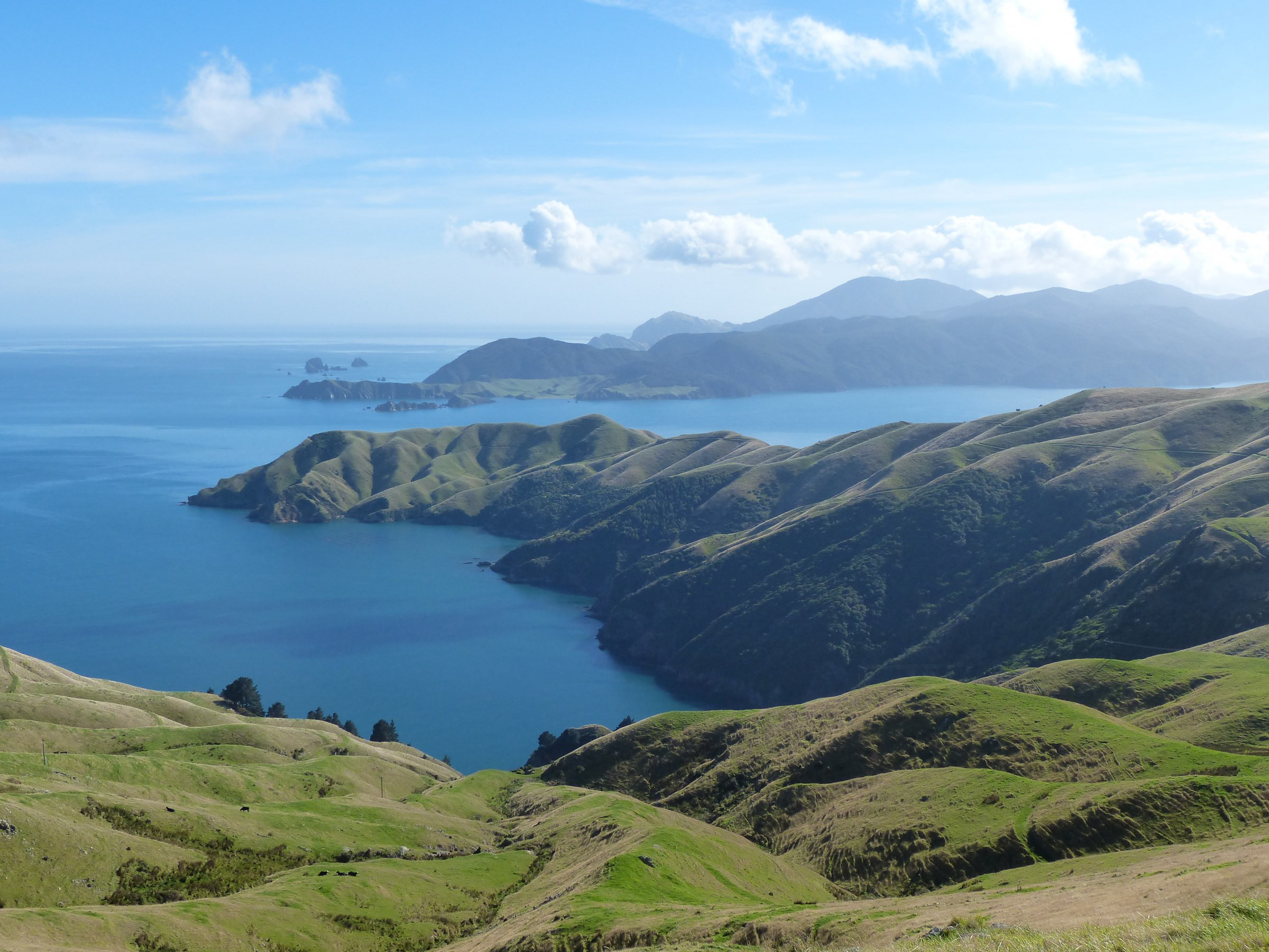 View - Road to French Pass | Photo