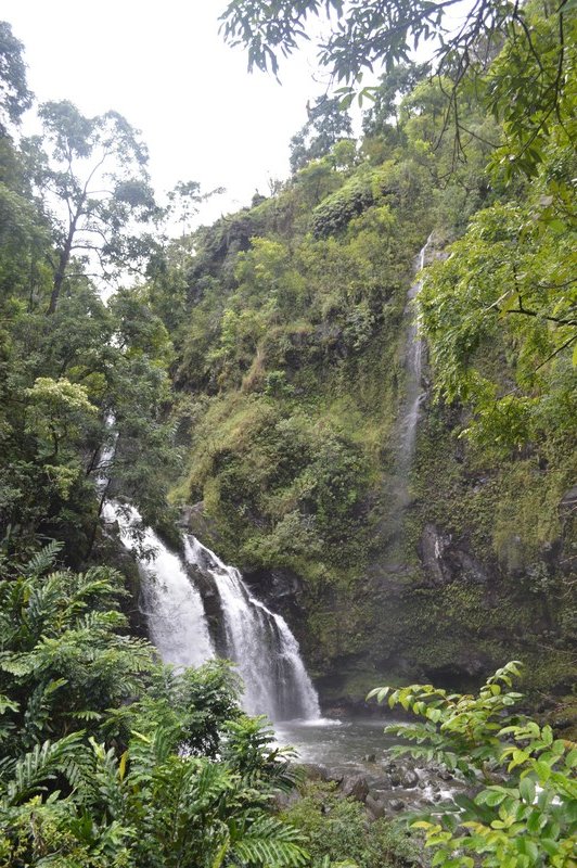 One of the many waterfalls on the Road to Hana