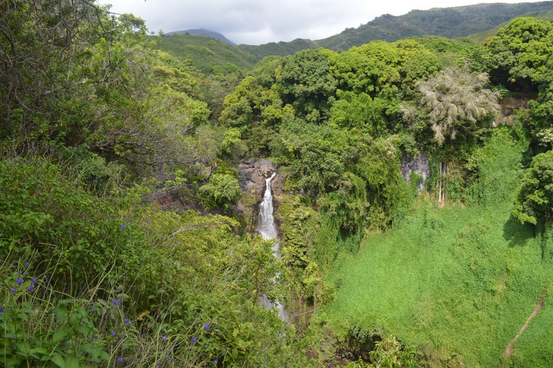 First waterfall on the Pipiwai trail