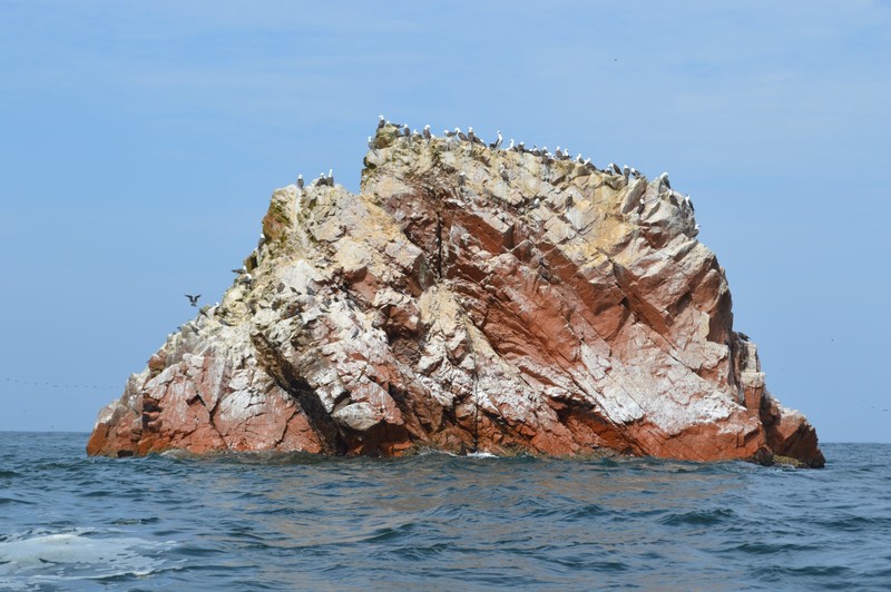 Part of Ballestas Islands