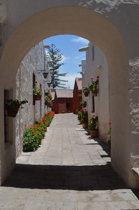 Flower lined street in the monastery