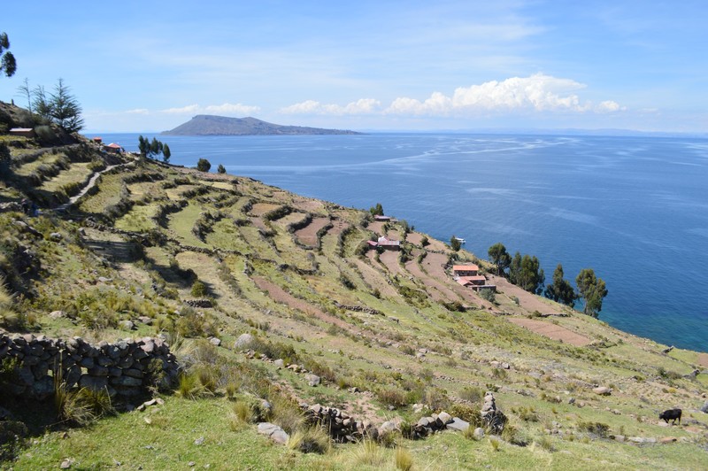 Terraces on Taquile