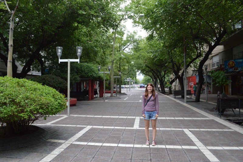 Avenida Sarmiento, Mendoza