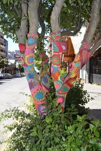 Knitting on trees in the Bariloche centre