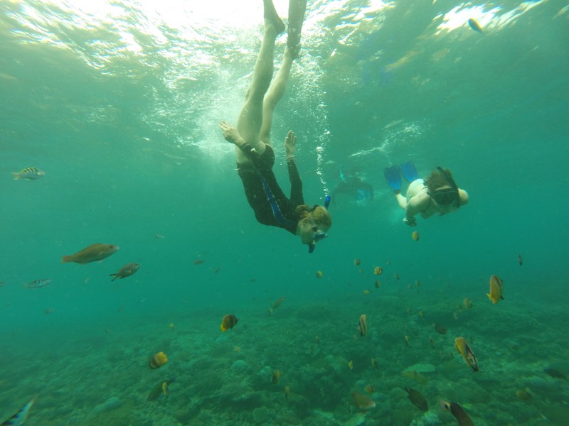 Free diving 