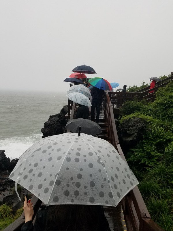 Umbrella line