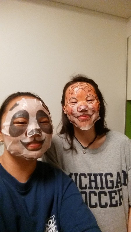 Animal face masks