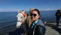 Found a horse at Qinghai Lake