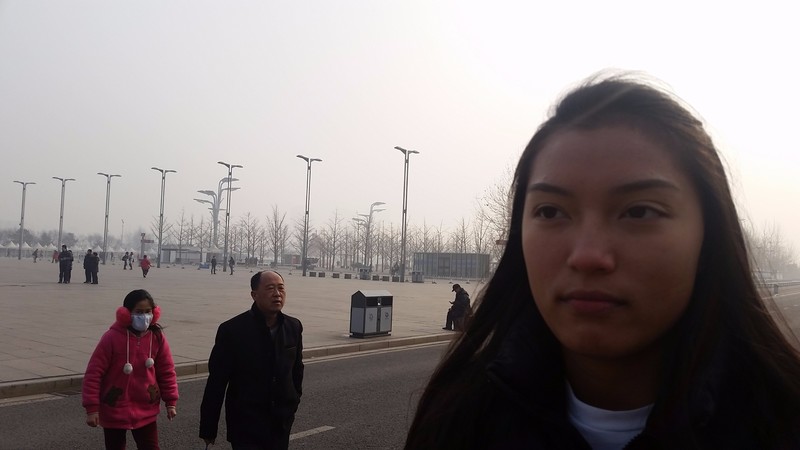 Sarah didn't appreciate the smog