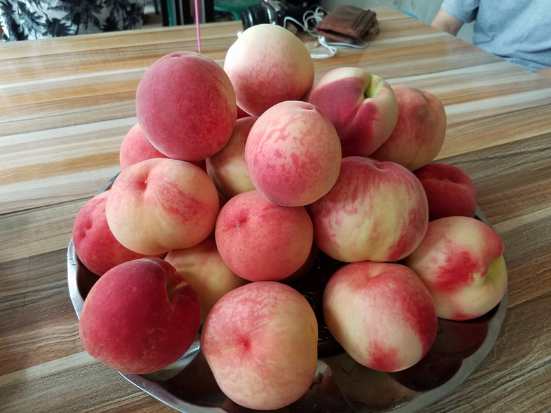 Beautiful, fresh peaches